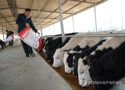 중국, 수입 소고기 세이프가드 조사 3개월 연장…공급 과잉에 도매가 2019년 이후 최저