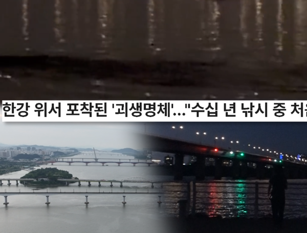 한강 거대 괴물 실체 추적…‘궁금한 이야기Y’ 현수, 카메라 앞 충격 목격담→정체 미궁의 밤 / SBS
