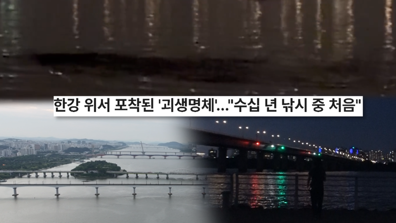 “한강을 가로지른 미지의 형체”…‘궁금한 이야기Y’ 괴물 목격담부터 교복 입은 60대→서울 한가운데의 미스터리 / SBS