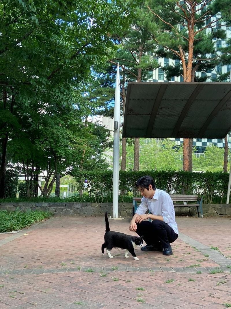 “햇살에 머문 오후의 여유”…전진서, 산책 속 고요→자연을 닮은 순간 / 배우 전진서 인스타그램