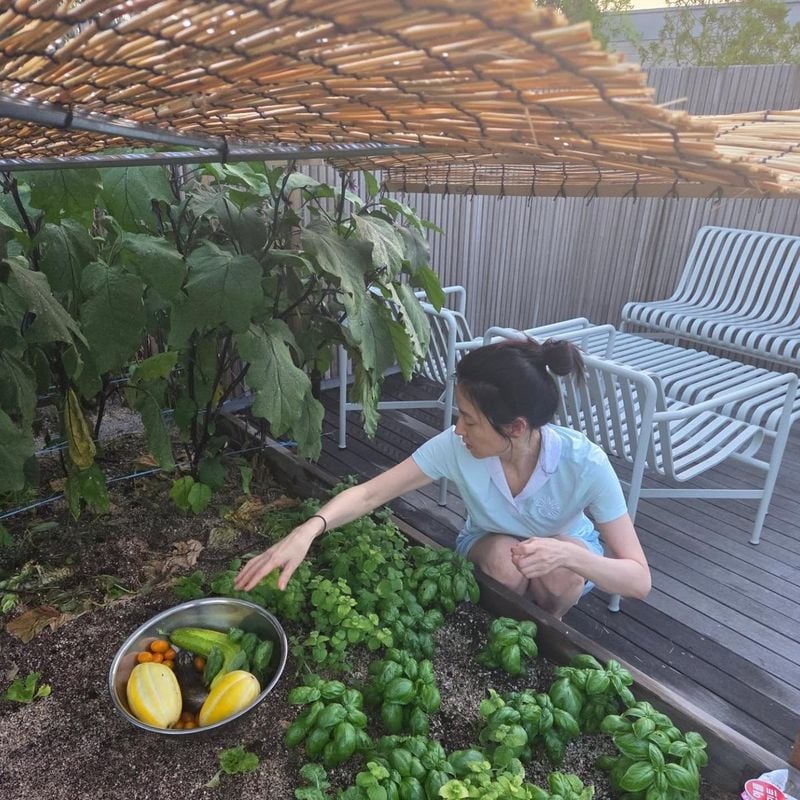 “주말여름, 뭘해먹을까”…이영애, 여름 햇살 속 정원→자연 속 여유 만끽 / 배우 이영애 인스타그램