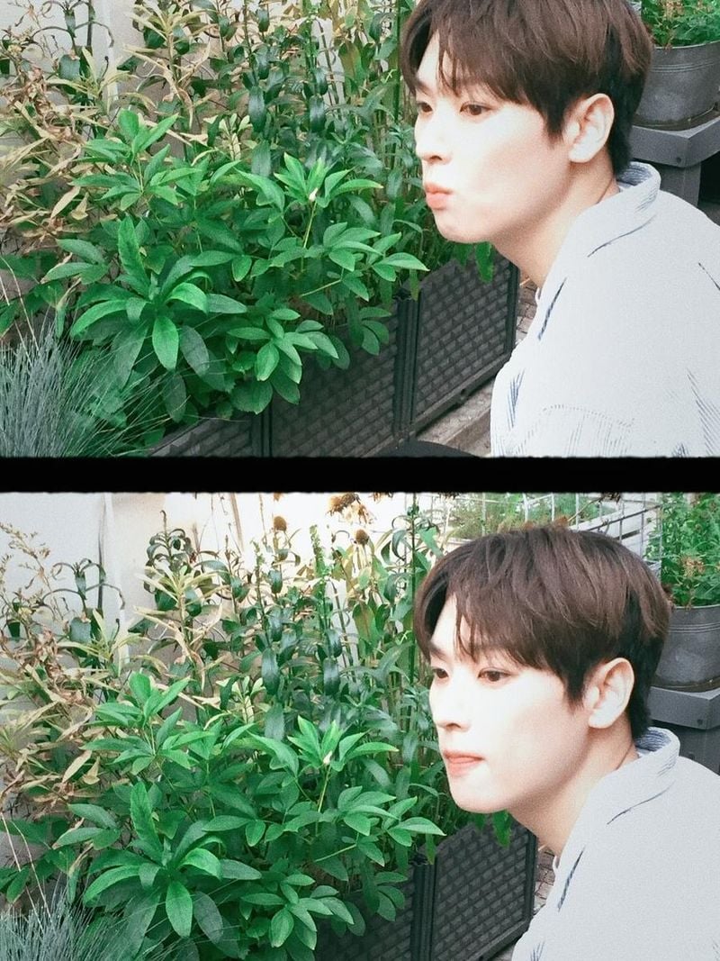 “햇살에 잠시 머물렀다”…김인성, 한낮의 평온→여름을 담은 순간 / 그룹 SF9 김인성 인스타그램