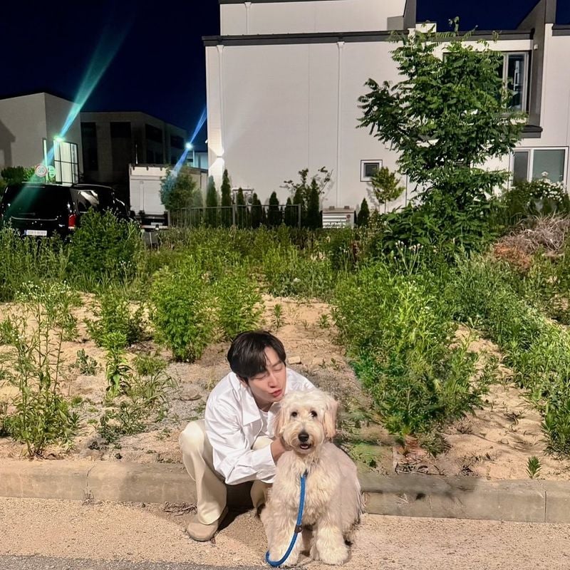 “짧았지만 즐거웠던 시간”…이상엽, 반려견과의 여름밤→잔잔한 일상 위로 / 배우 이상엽 인스타그램