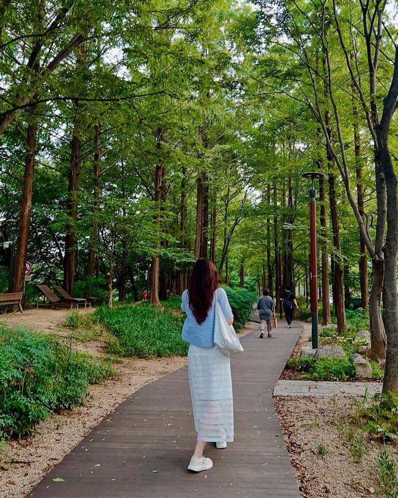 “산책도, 사진도 굿”…왁스, 청량한 여름길→힐링 순간 포착 / 가수 왁스 인스타그램