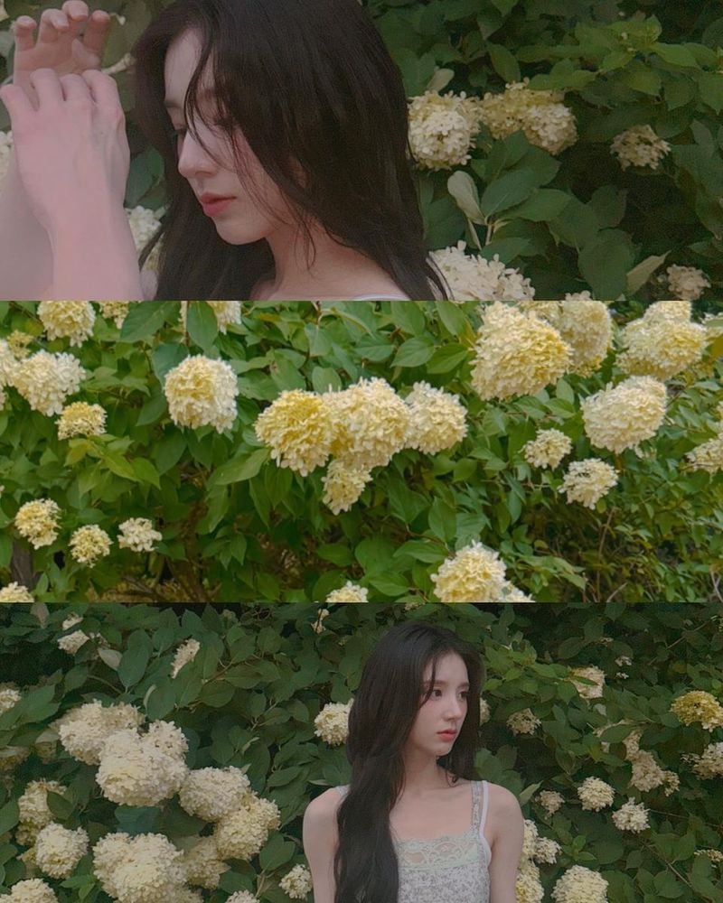 “여름빛 머문 마음”…희진, 수국 만개한 정원→서정적 청초美로 압도 / 걸그룹 아르테미스 희진 인스타그램