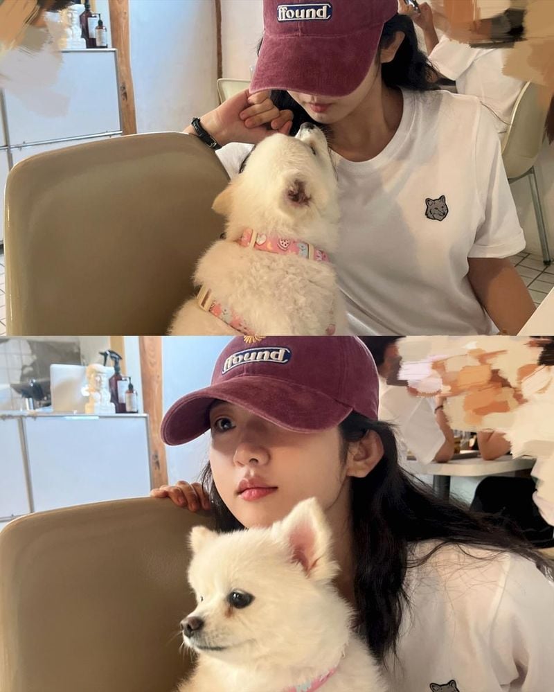 “사랑은 온유함 그 자체”…박세현, 반려견과의 여름 오후→따뜻함 자아내 / 배우 박세현 인스타그램