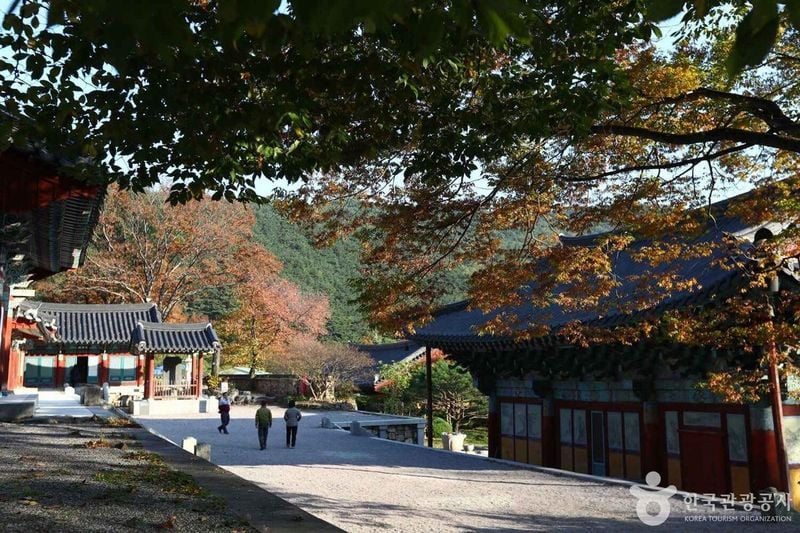 사진 출처 = 포토코리아(한국관광공사) 보경사