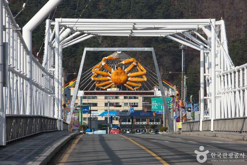 사진 출처 = 포토코리아(한국관광공사) 영덕대게거리