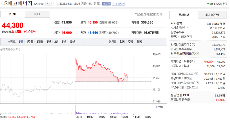 출처=네이버페이 증권