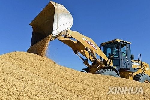 中 대두 수입 18.5%↑…미국산 비중 18%로 하락