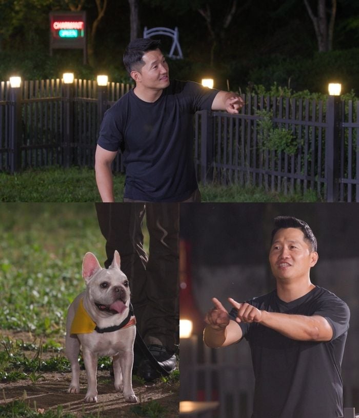 개와 늑대의 시간