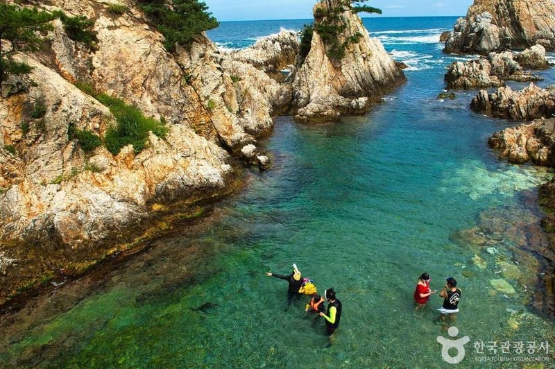 사진 출처 = 포토코리아(한국관광공사) 장호항