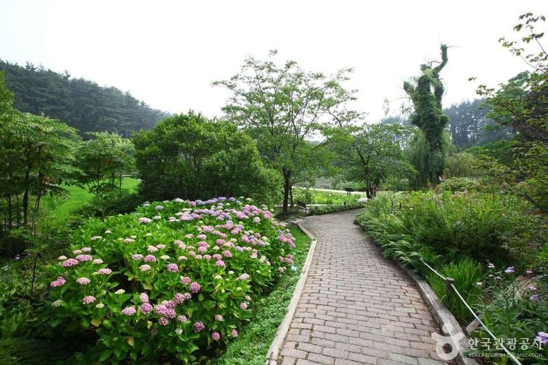 사진 출처 = 포토코리아(한국관광공사) 천리포수목원
