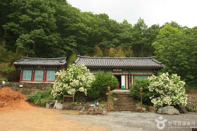 사진 출처 = 포토코리아(한국관광공사) 칠곡 금곡사