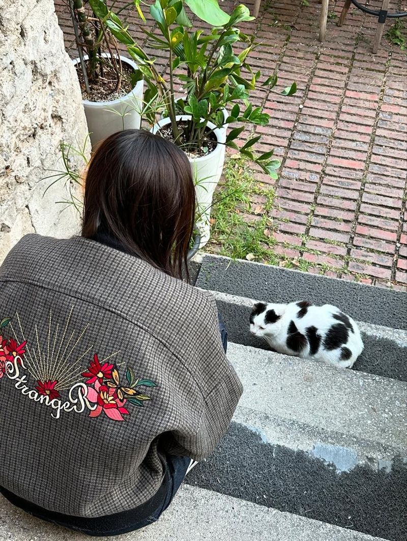 “냐옹”…이젤, 늦여름 오후→고양이와 이어진 시선 / 가수 이젤 인스타그램