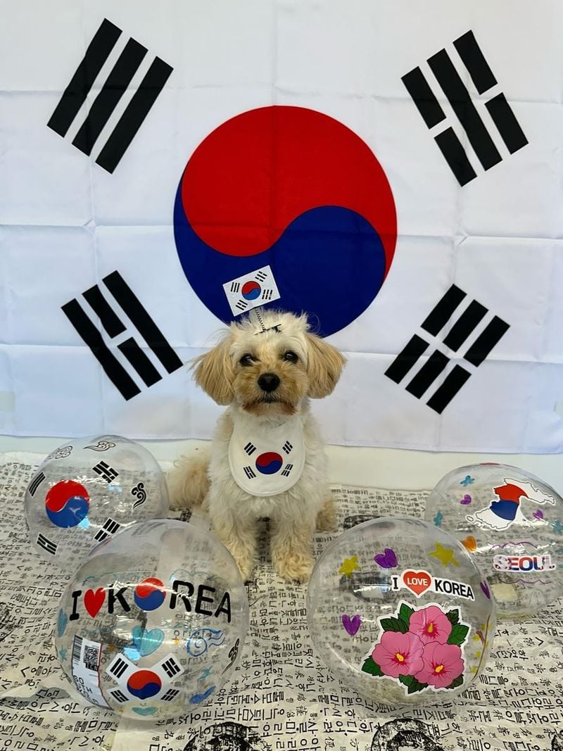 “순수함에 담긴 자부심”…이국주, 광복절 감동→반려견과 빛난 애국의 한컷 / 코미디언 이국주 인스타그램