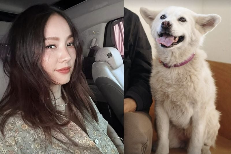 이효리 인스타그램