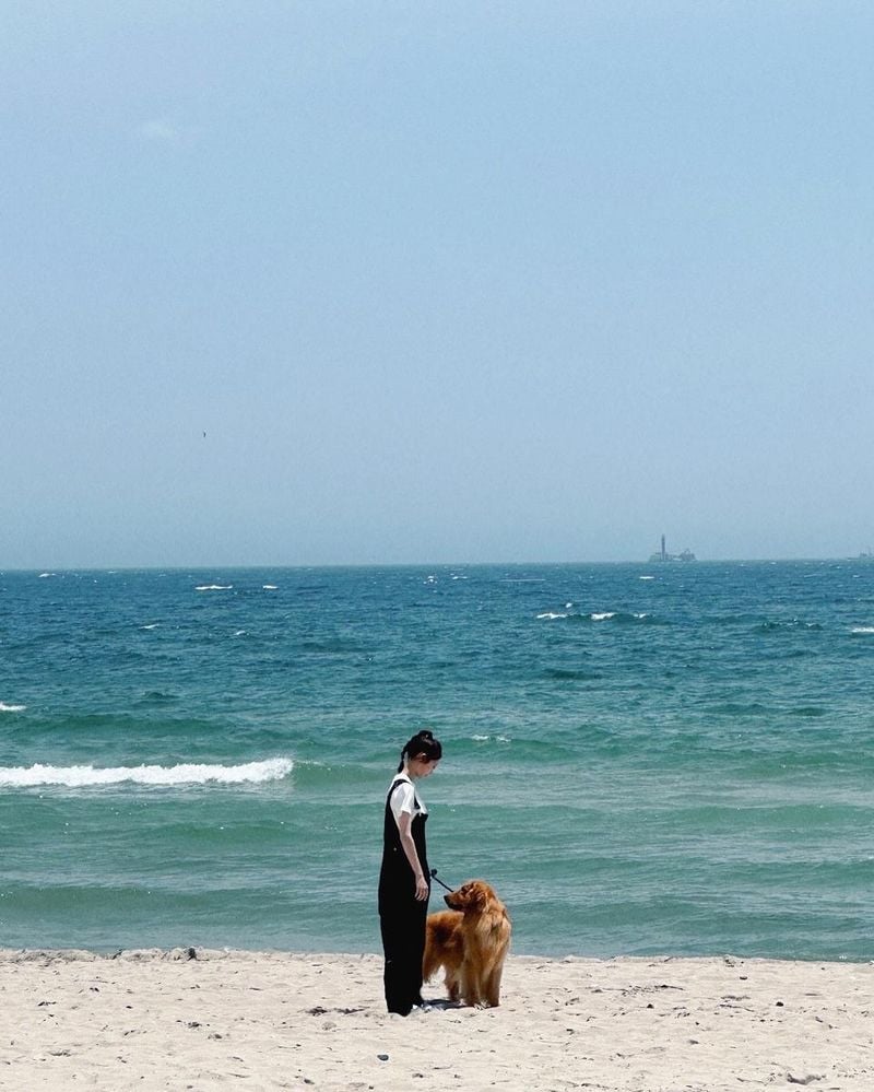 “지니와 걷는 여름 해변”…공승연, 파도 소리에 안긴 순간→잔잔한 위로 / 배우 공승연 인스타그램