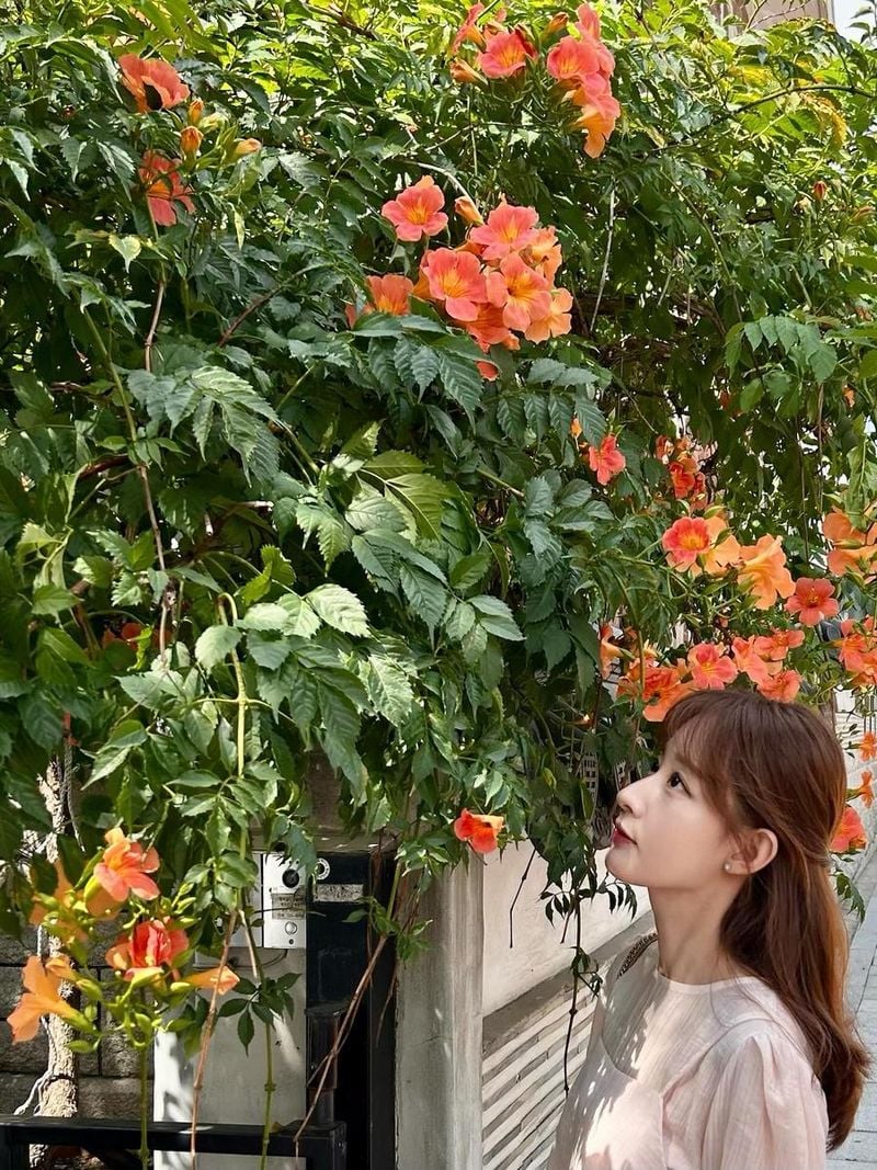 “기억을 다듬는 오후”…박유라, 여름 정원 산책→고요한 시선 / 아나운서 박유라 인스타그램