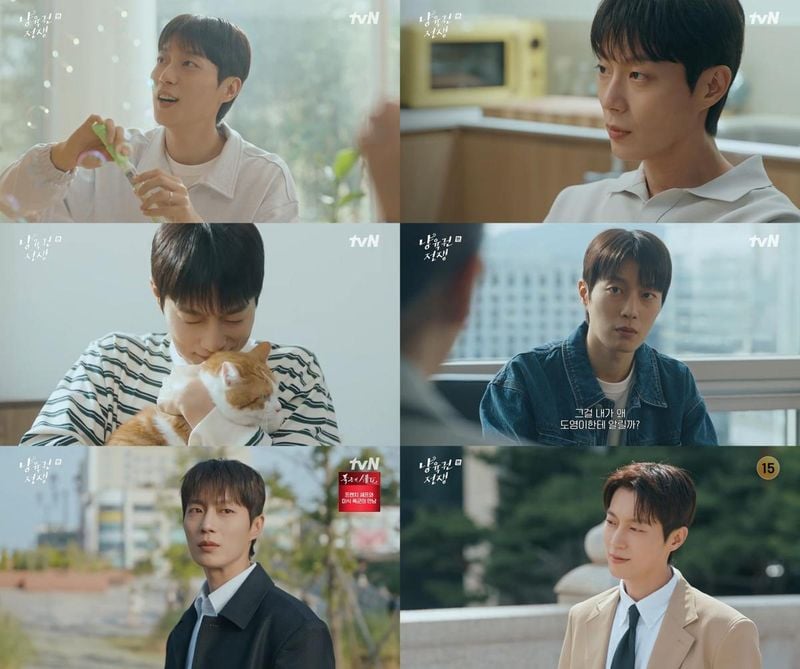 “치유되는 고백”…윤두준, ‘냥육권 전쟁’ 속 반전 진심→안방극장도 울렸다 / tvN