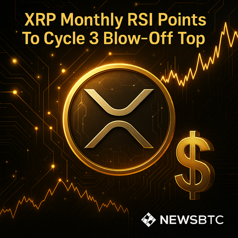리플 XRP 사이클 3 진입…RSI 과열 신호 주목