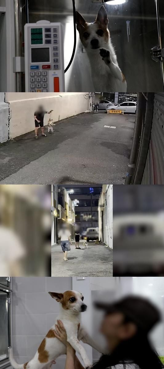 “SNS 뒤흔든 강아지 학대 영상”…‘비하인드’ 충격 실체 추적→진실 드러난다