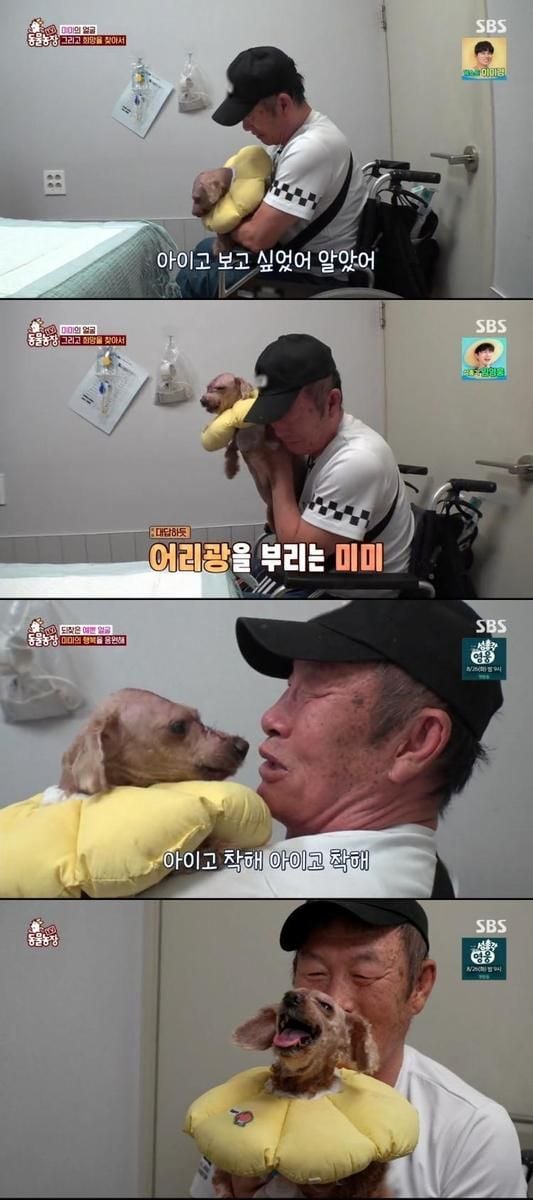 “얼굴 찾은 미미”…‘TV동물농장’ 할아버지와 재회→눈물의 포옹 울림 / SBS