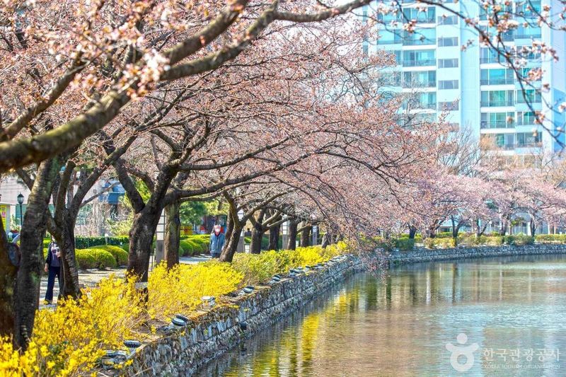 사진 출처 = 포토코리아(한국관광공사) 연화지