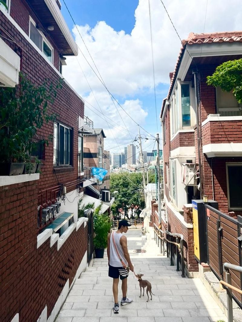 “여름빛 계단 위 휴식”…이규형, 반려견과 평온함→도심 산책 감성 / 배우 이규형 인스타그램