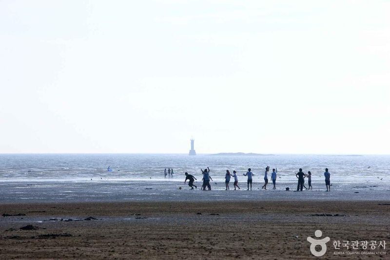 사진 출처 = 포토코리아(한국관광공사) 몽산포해수욕장