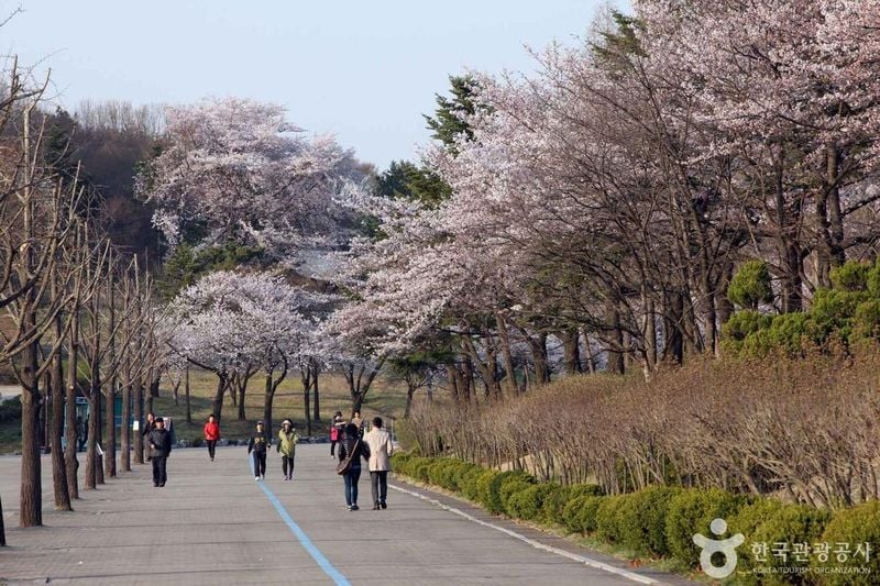 사진 출처 = 포토코리아(한국관광공사) 서울대공원