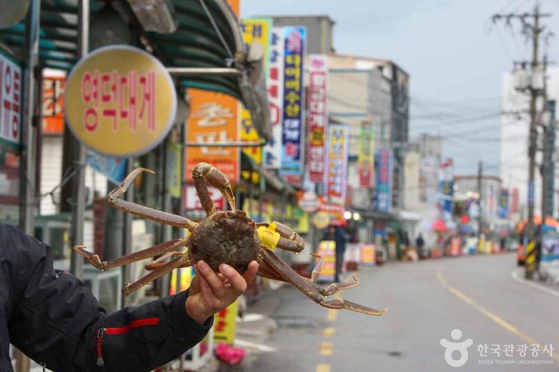사진 출처 = 포토코리아(한국관광공사) 영덕 대게거리