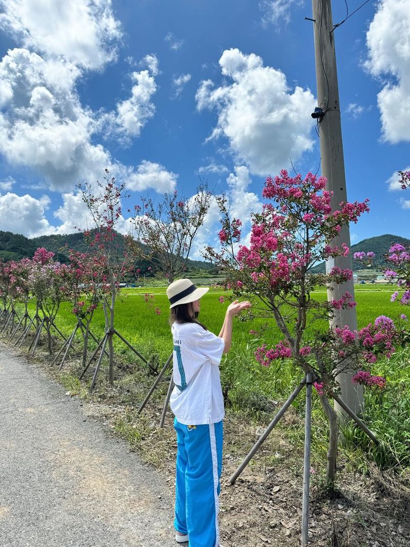 “나는 자연인이다 발만 걸쳐보기”…홍지윤, 여름 들녘→청량 감성 한가득 / 가수 홍지윤 인스타그램