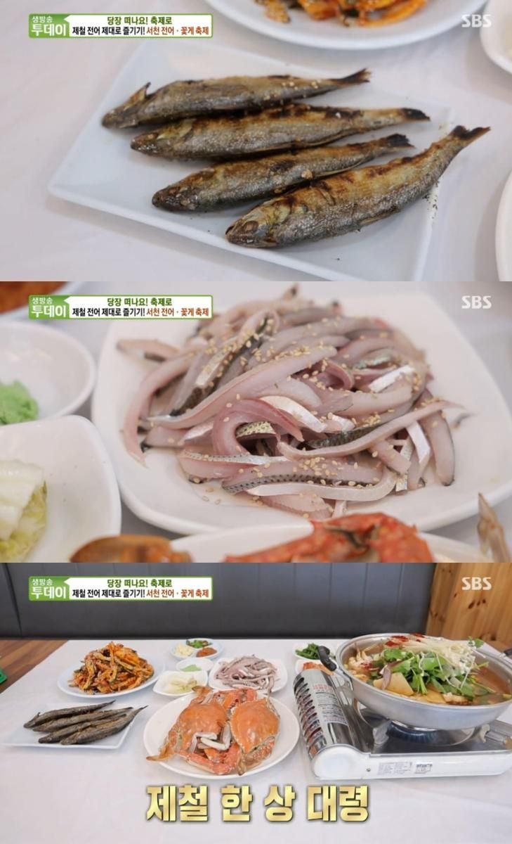 SBS ‘생방송투데이’ 방송 캡처