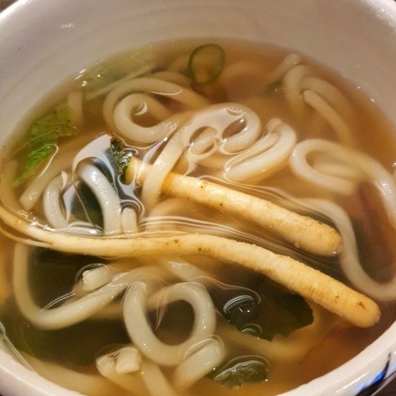 자두 추천 밥집, 우동 한입에 일본 여행