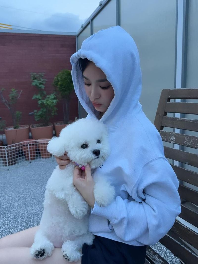 “포근함에 잠시 머문 저녁”…송혜교, 강아지와 마주한 눈빛→따스한 여운 / 배우 송혜교 인스타그램