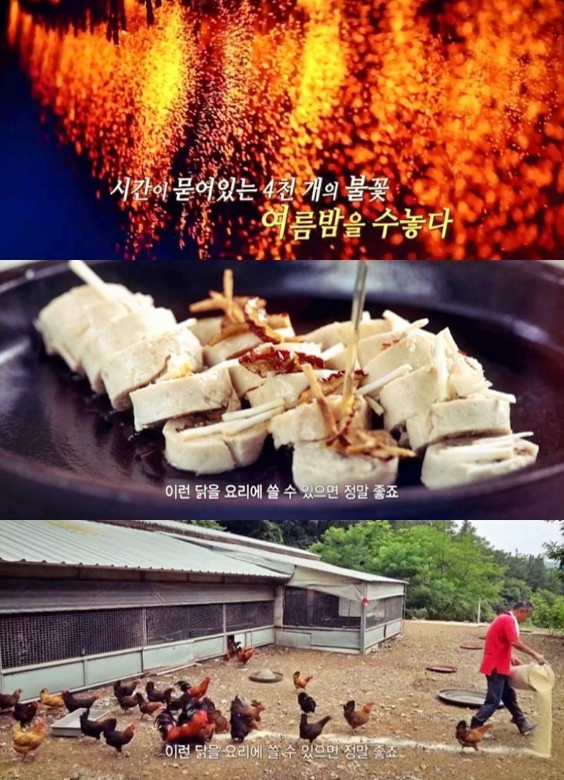 KBS1 ‘한국인의 밥상’ 방송 캡처