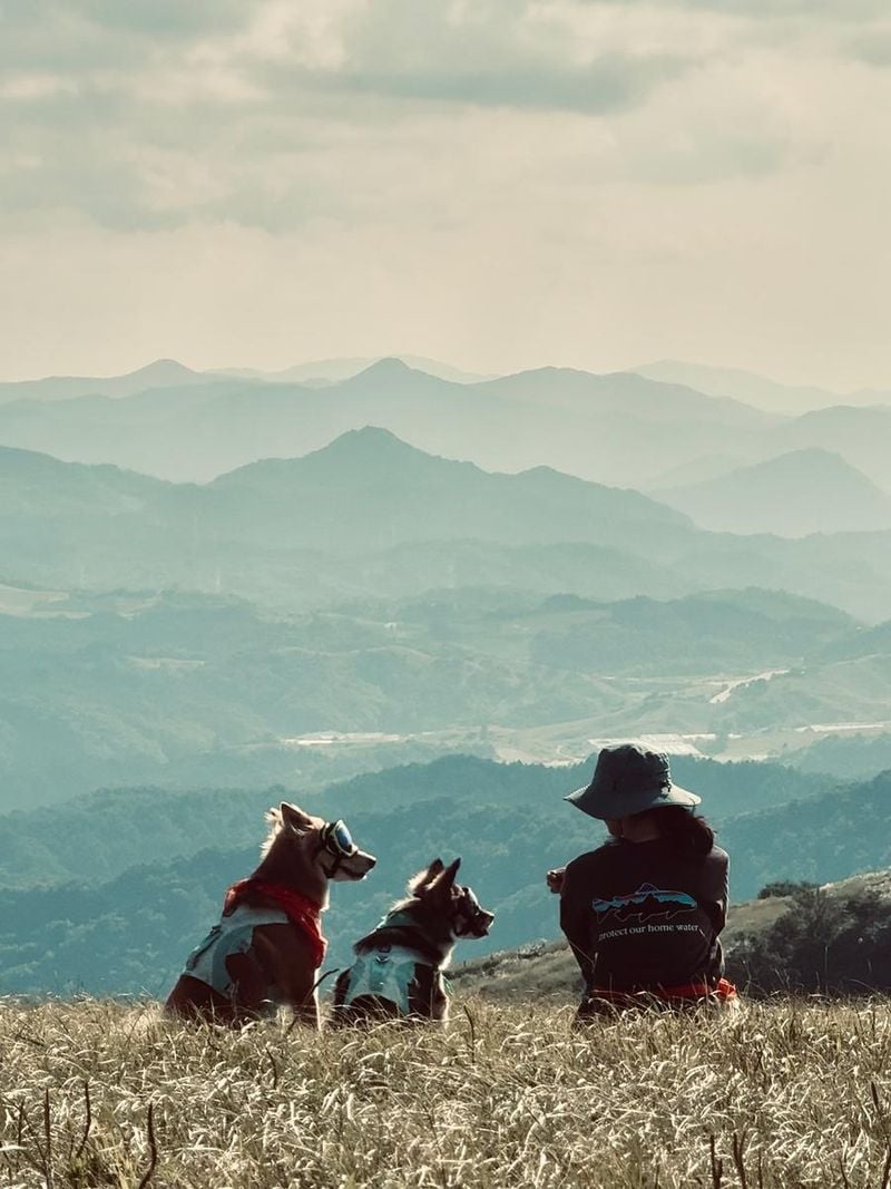 “아름다운 곳에서 세상 아름다운 순간”…이기우, 깊어가는 여름 산등성이→평온한 휴식 / 배우 이기우 인스타그램