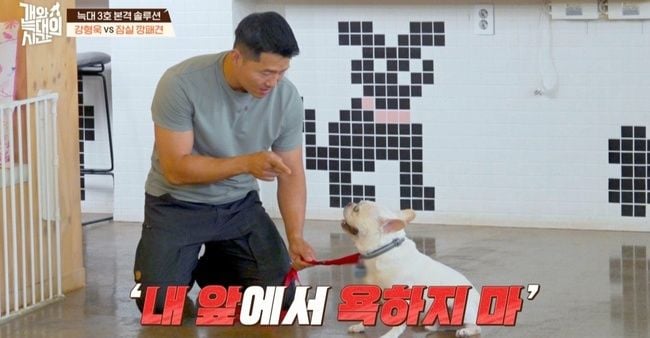 강형욱(출처=채널A '개와 늑대의 시간')
