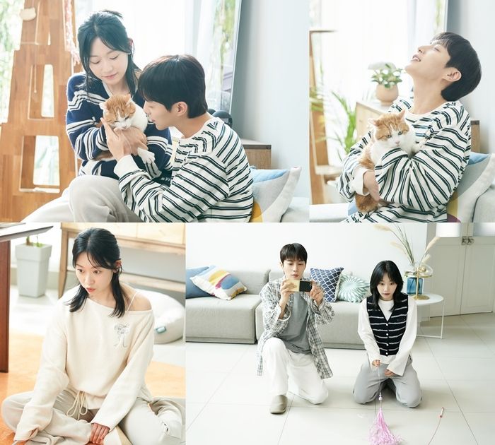 출처: tvN 예능 '냥육권 전쟁'