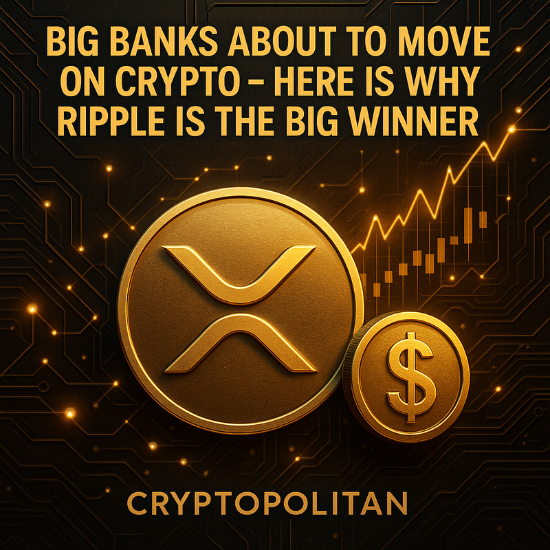 리플 XRP, 글로벌 은행 결제 인프라 핵심으로 부상
