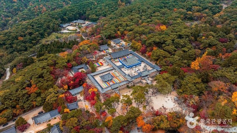 사진 출처 = 대한민국 구석구석(한국관광공사) 불국사