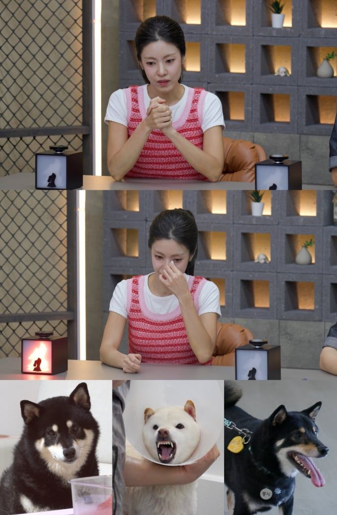 이윤지(출처=채널A '개와 늑대의 시간')