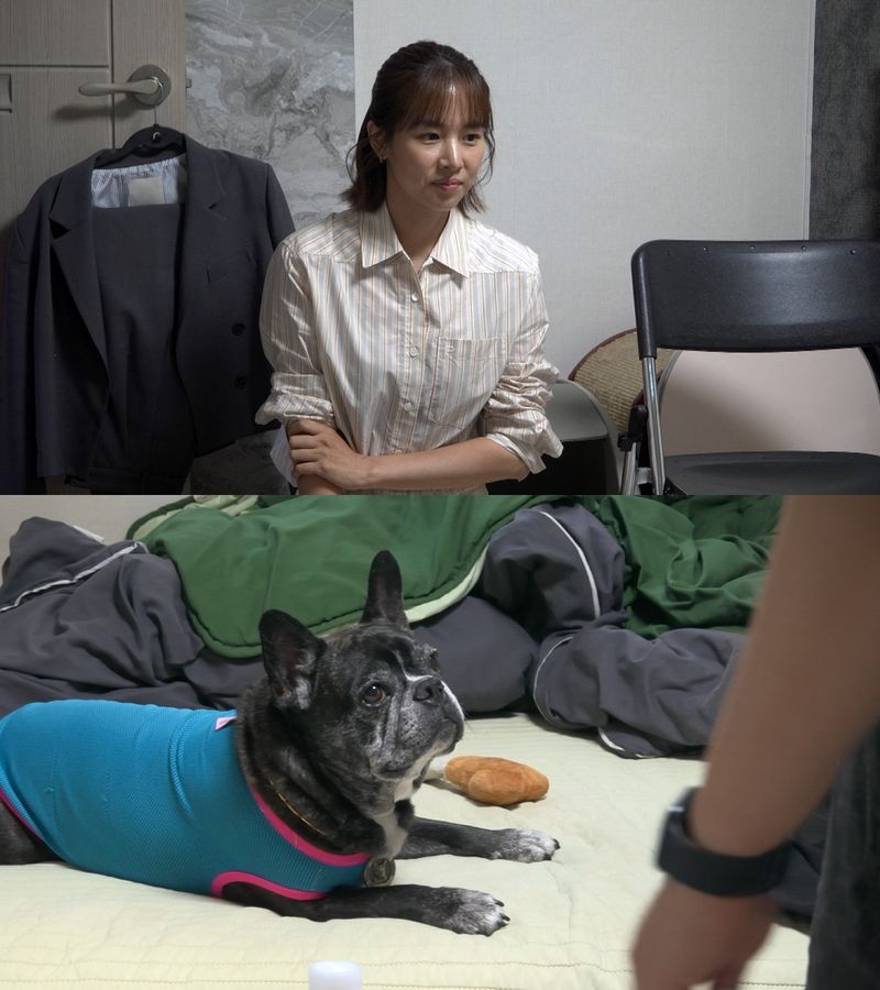 출처: 채널A ‘개와 늑대의 시간’