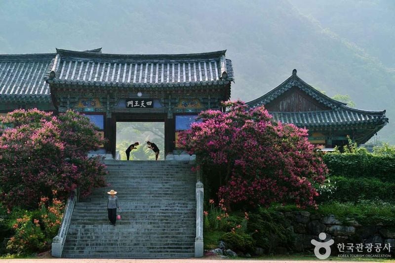 사진 출처 = 포토코리아(한국관광공사) 표충사의 만남