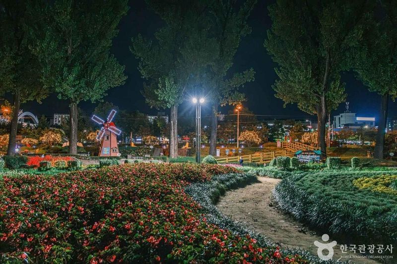 사진 출처 = 포토코리아(한국관광공사) 보강천 미루나무숲