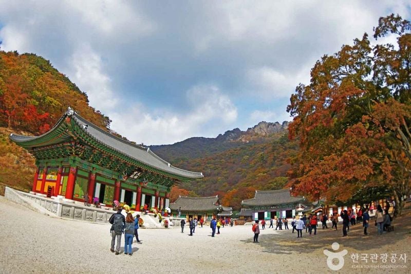 사진 출처 = 포토코리아(한국관광공사) 내장사