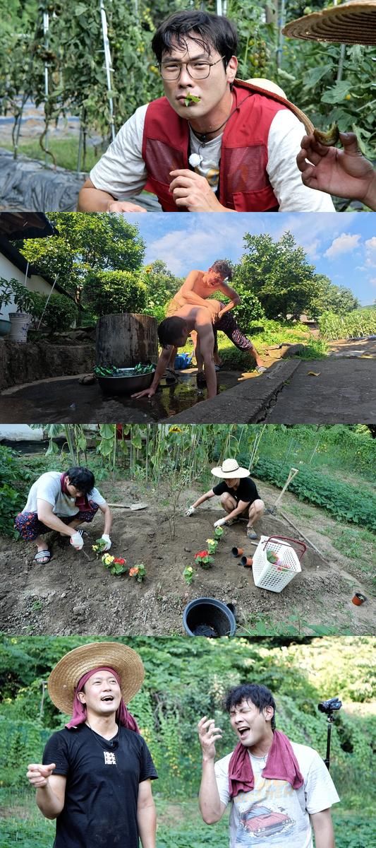“폭염 속 브로맨스”…최다니엘·김대호, ‘흙심인대호’서 대좋밭 탈출 소동→티격태격 현실 케미