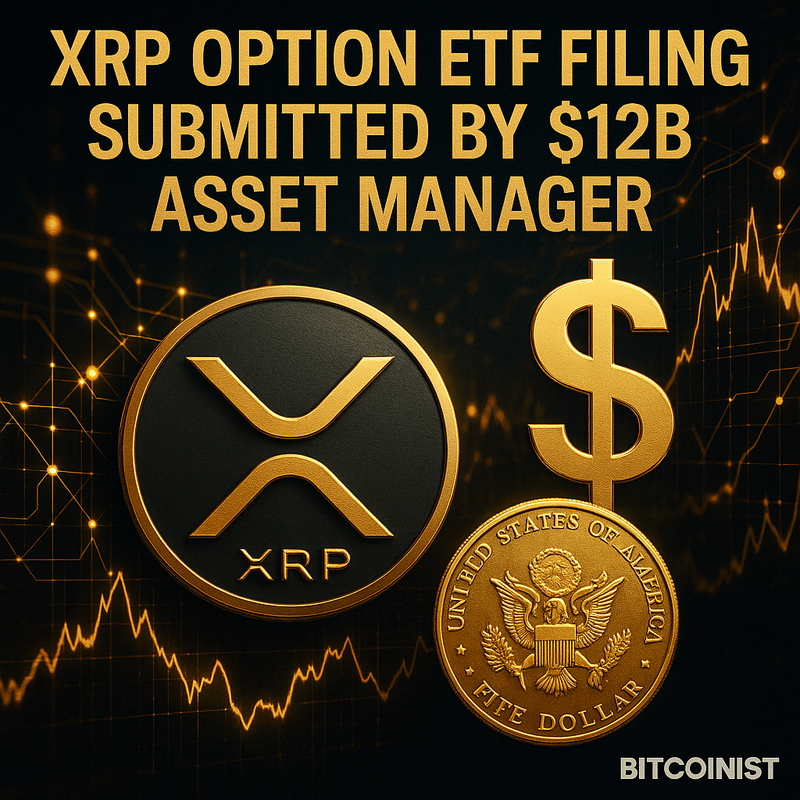 리플 XRP 옵션 ETF, 앰플리파이 12조원 자산운용사 SEC에 제출