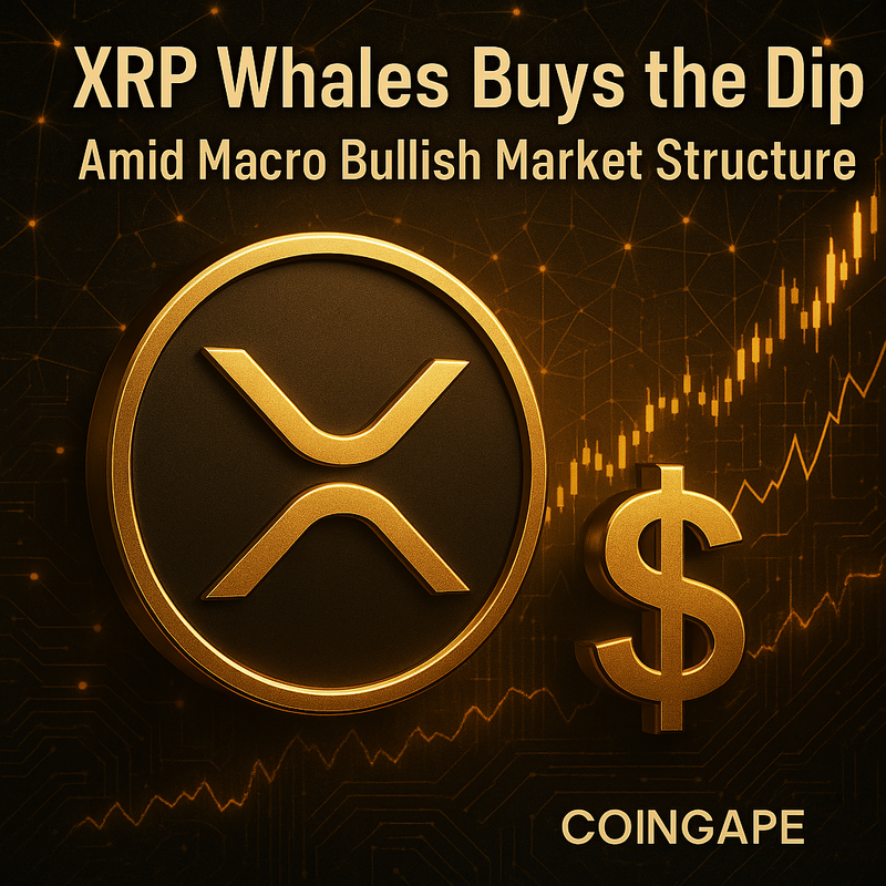 리플 XRP 고래 매수, 규제 불확실성 속 장기 상승 기대